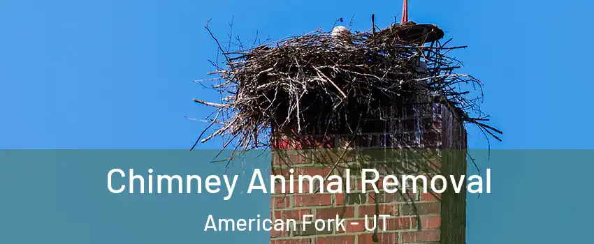 Chimney Animal Removal American Fork - UT