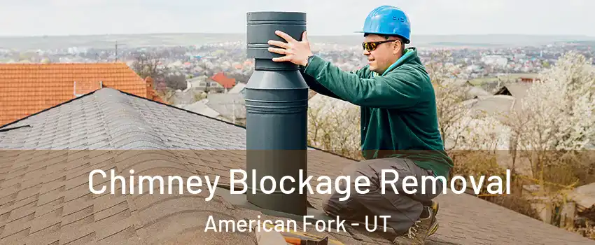  Chimney Blockage Removal American Fork - UT