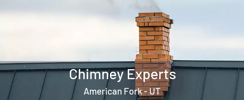  Chimney Experts American Fork - UT