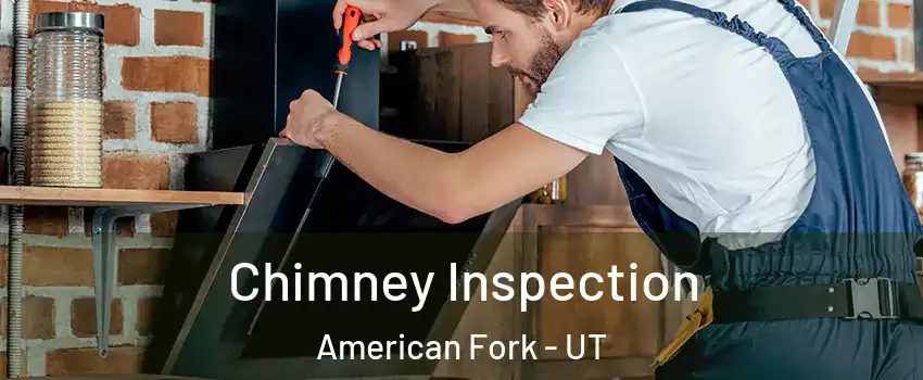  Chimney Inspection American Fork - UT