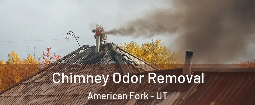  Chimney Odor Removal American Fork - UT