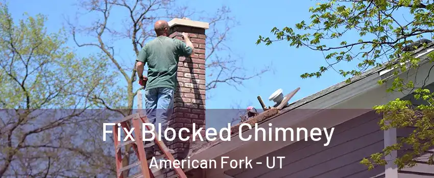  Fix Blocked Chimney American Fork - UT