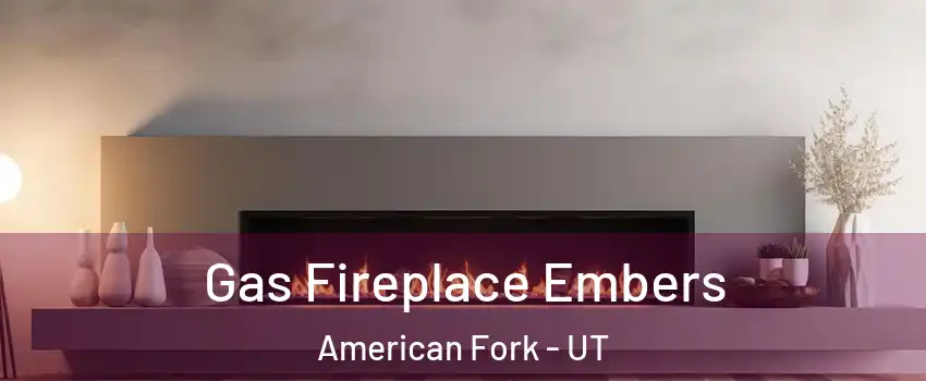  Gas Fireplace Embers American Fork - UT