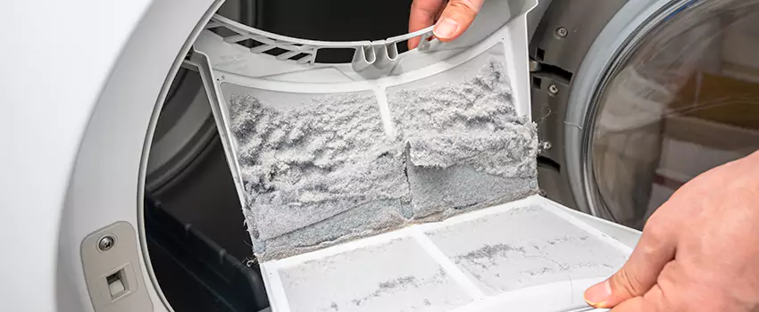 Best Dryer Lint Removal Company in American Fork, Utah