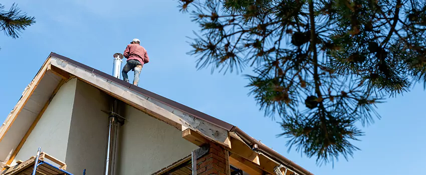 Birds Removal Contractors from Chimney in American Fork, UT