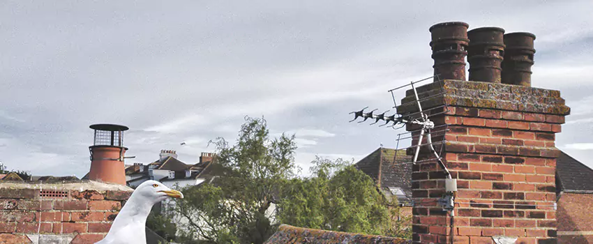 Chimney Cleaning And Restoration in American Fork, Utah