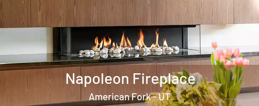  Napoleon Fireplace American Fork - UT