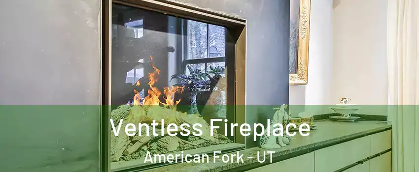 Ventless Fireplace American Fork - UT